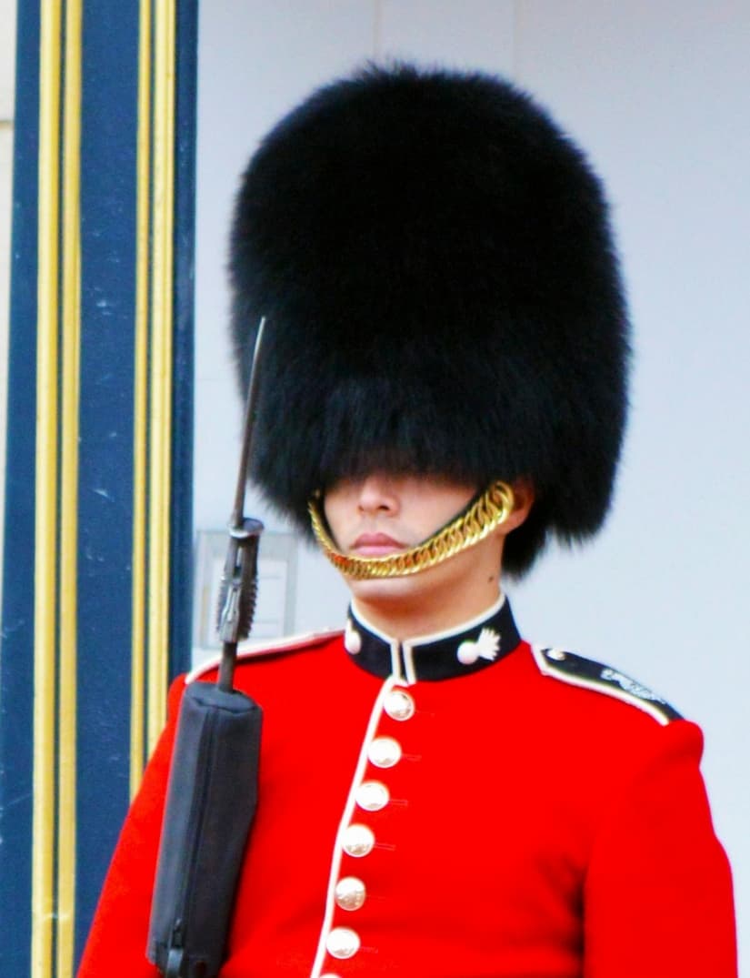 bearskin cap